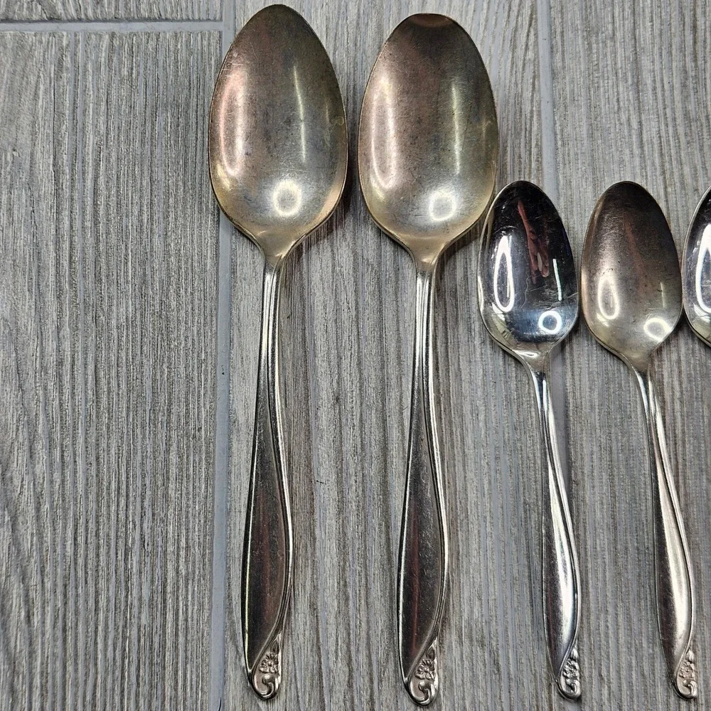 Wm. A. Rogers Oneida Flowertime Silver Overlaid Flatware Set 50 Pieces Vintage